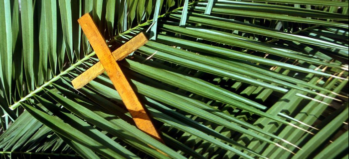 Palm Sunday Clarifies Our Mission As Men