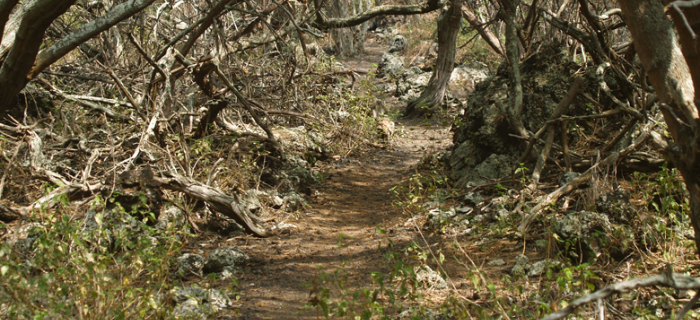 Pain is Easier When We See God’s Purpose In It